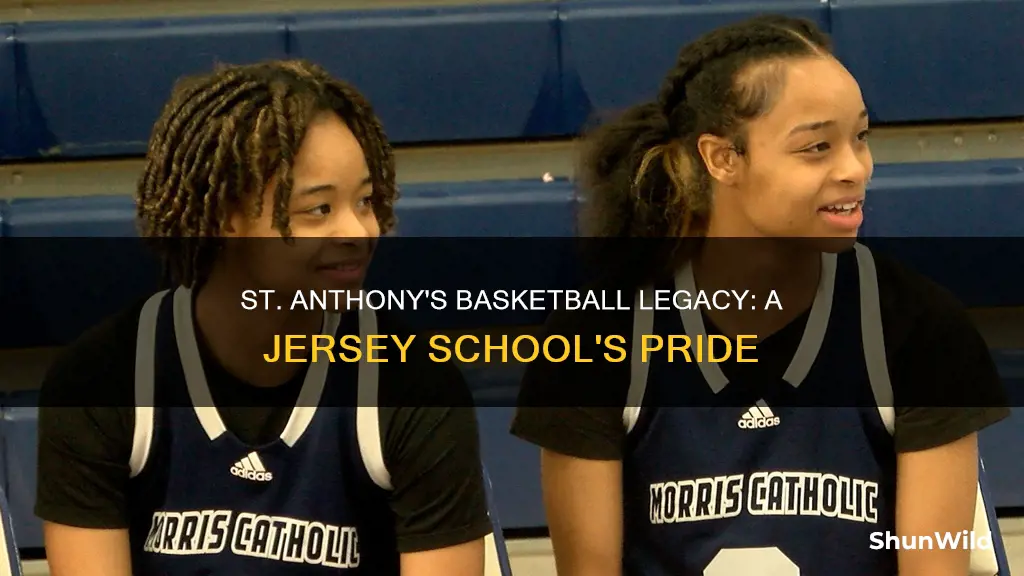 where is st anthony school jersey basketball