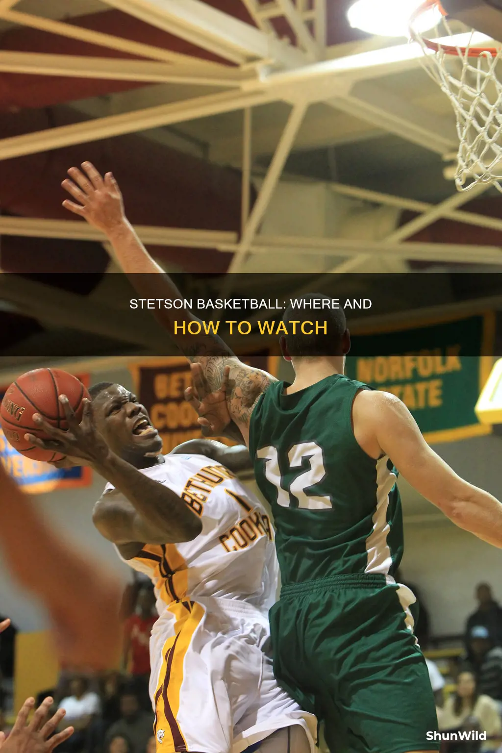 where is stetson basketball