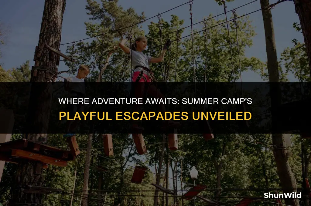 where is summer camp playing