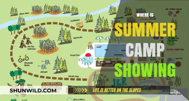 Where Summer Camp Magic Happens: A Guide to Locations