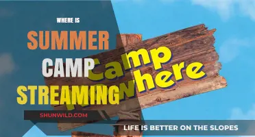 Where to Stream Summer Camp Movies: A Comprehensive Guide