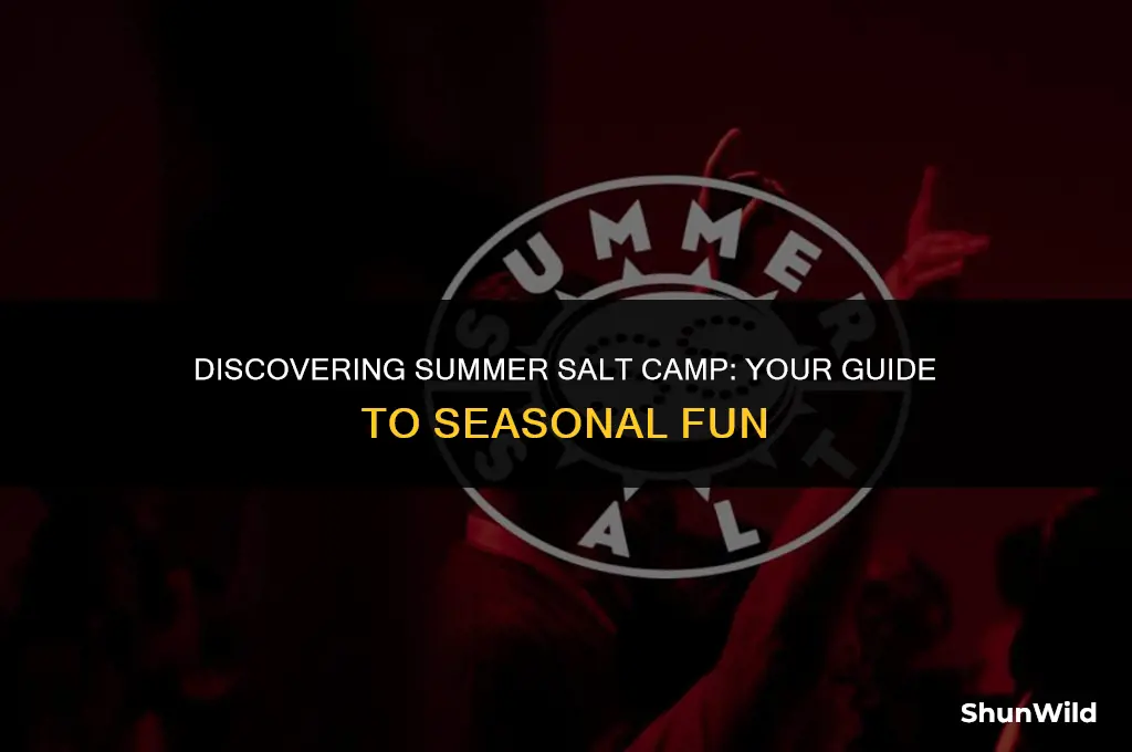 where is summer salt camp