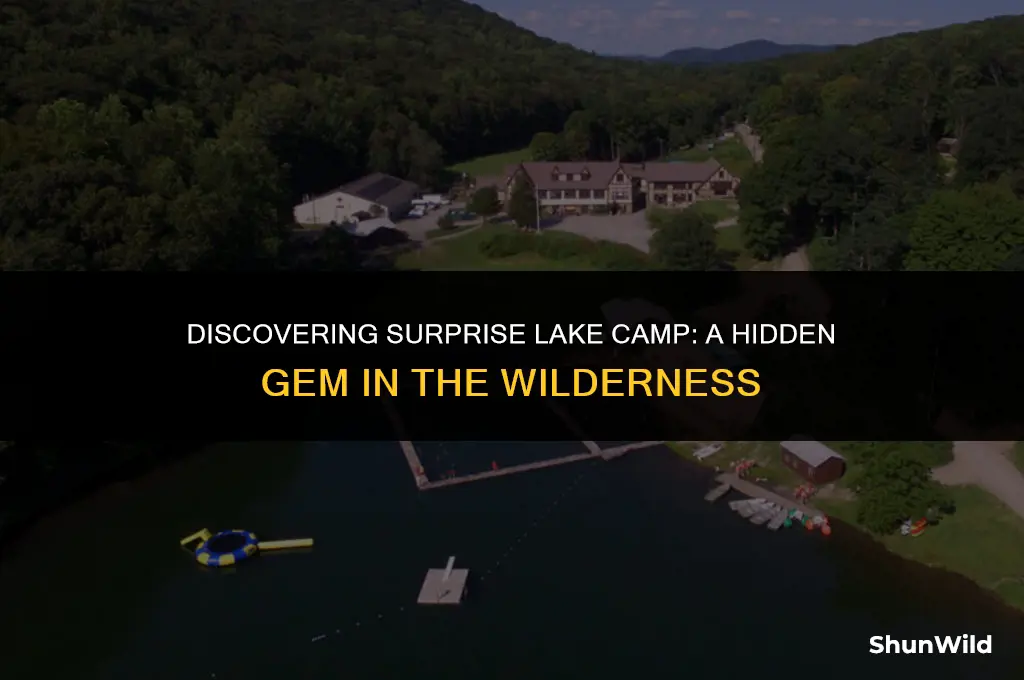 where is surprise lake camp