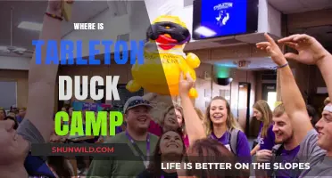Exploring the Hidden Gem: Tarleton Duck Camp's Serene Getaway