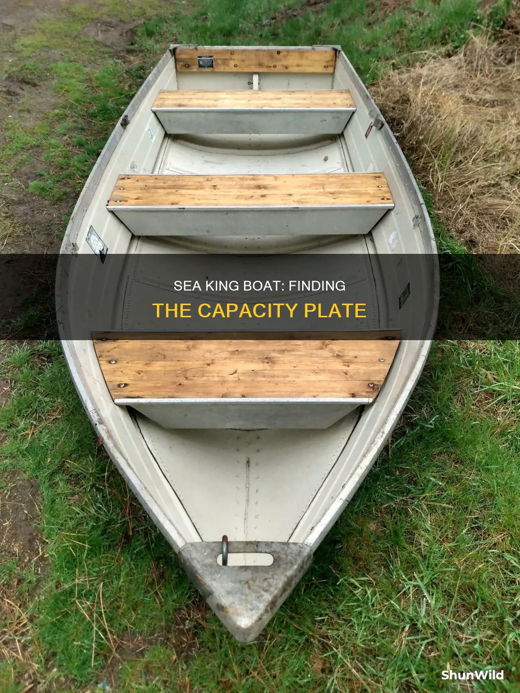 where is the 14 sea king aluminum boat capacity plate