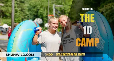 Exploring the Whereabouts of the Elusive 1D Camp