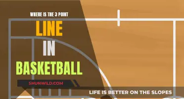 The Evolution of the 3-Point Line in Basketball