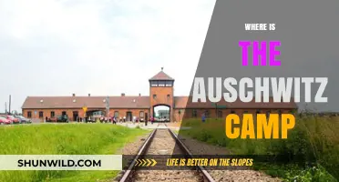 Unveiling the Haunting Legacy of Auschwitz: A Journey Through History