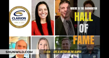Badminton Hall of Fame: Where Legends Are Honored