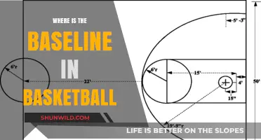 Basketball 101: Understanding the Baseline's Location