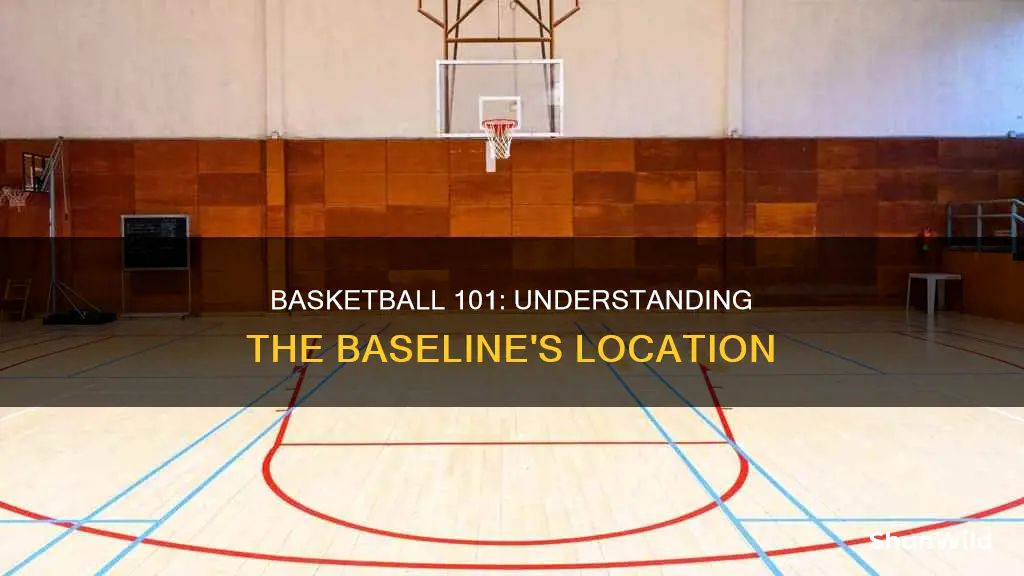 where is the baseline in basketball