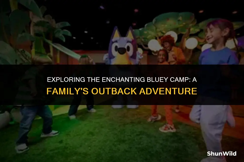 where is the bluey camp