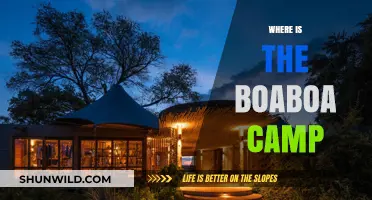 Exploring the Enchanting Boaboa Camp: A Hidden Gem in the Wilderness