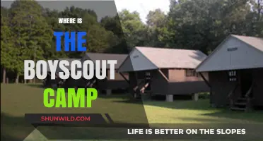 Exploring the Great Outdoors: A Guide to Boy Scout Camps Near You