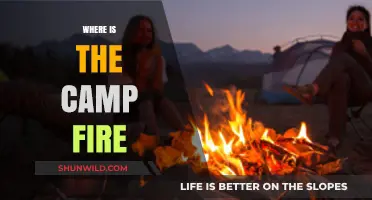 Where Is the Campfire: A Guide to Finding Your Way in the Wild