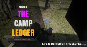 Unveiling the Mystery: Where is the Camp Ledger?