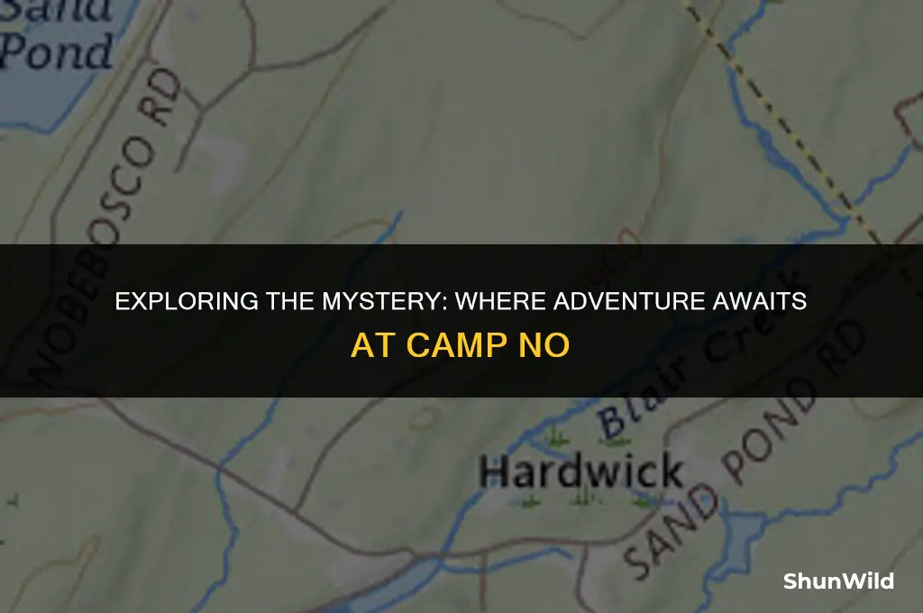 where is the camp no