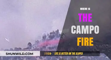 Tracking the Campo Fire: Updates and Safety Information