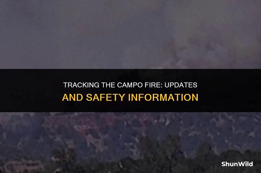 where is the campo fire