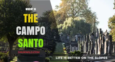 Exploring the Mystique of Campo Santo: A Journey Through Time and Space