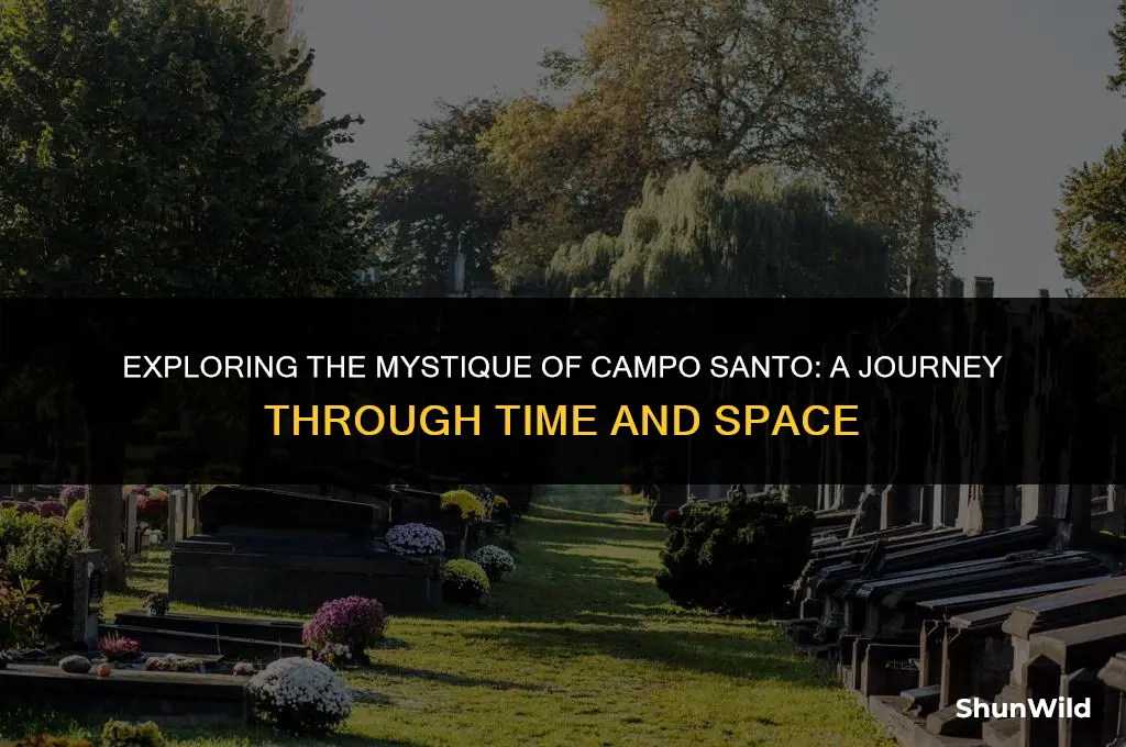 where is the campo santo