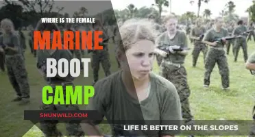Female Marine Boot Camp Locations: Where Women Train for Service