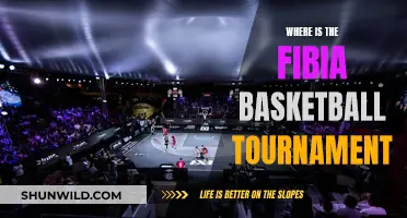 Fibia Basketball Tournament: Where and When?