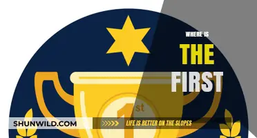 The First Steps: Where it All Begins