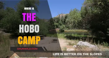 Exploring the Elusive: A Journey to Find the Hobo Camp