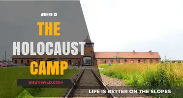 Unveiling the Horrors: A Journey to the Holocaust Camps