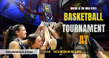 IHSA Basketball Tournament: Where's the Venue?