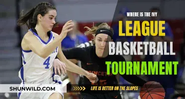 Ivy League Basketball Tournament: Where Champions Are Crowned