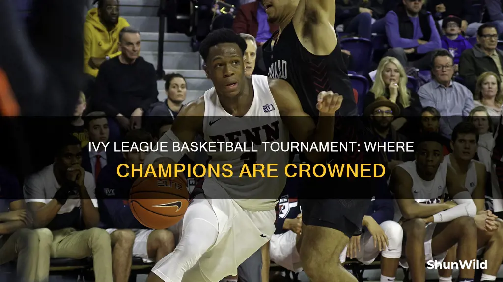 where is the ivy league basketball tournament