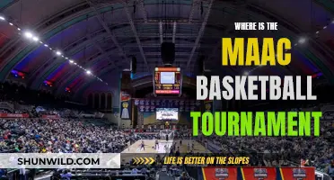Maac Basketball Tournament: Where Champions Are Crowned