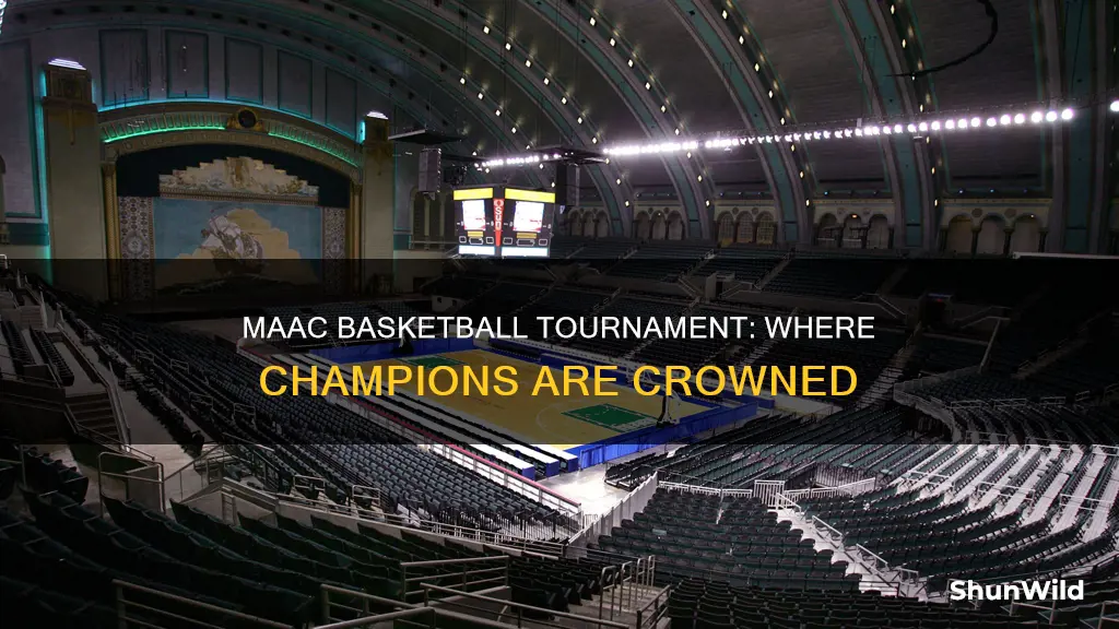 where is the maac basketball tournament