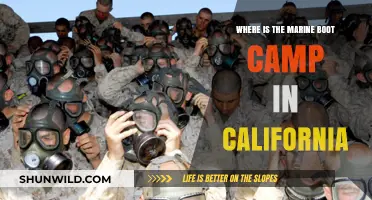 Discovering California's Marine Boot Camp Location: A Comprehensive Guide
