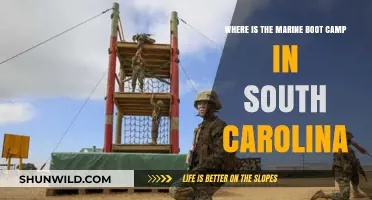 Discovering the Marine Boot Camp Location in South Carolina