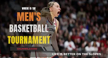 The Best Venues for Men's Basketball Tournament