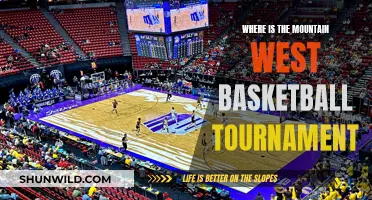 Mountain West Basketball Tournament: Where, When, and What to Expect