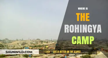 Seeking Refuge: The Rohingya's Journey to Safety