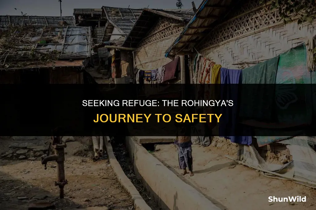 where is the rohingya camp