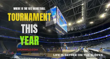 SEC Basketball Tournament: Where's the Action This Year?