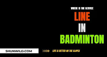 The Service Line in Badminton: Understanding the Basics