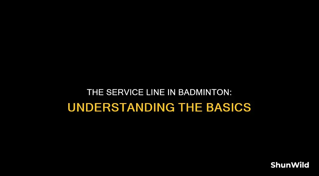 where is the service line in badminton