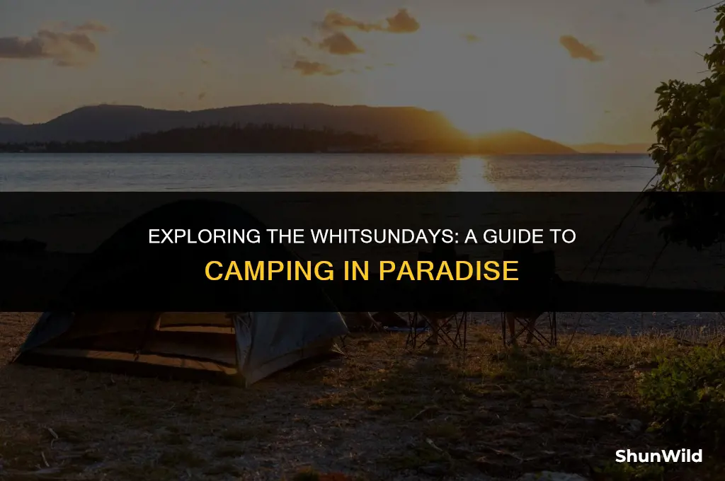 where is the whitsundays camping