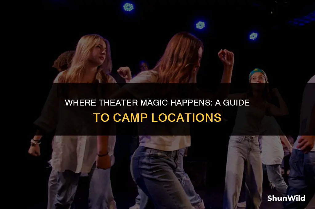 where is theater camp playing