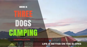 Paws & Tents: The Canine Camping Chronicles Begin!