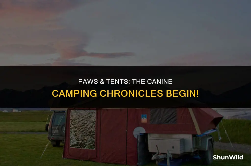 where is three dogs camping