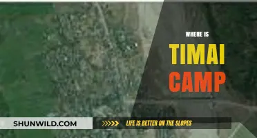 Exploring the Enchanting Timai Camp: A Hidden Gem in the Wilderness