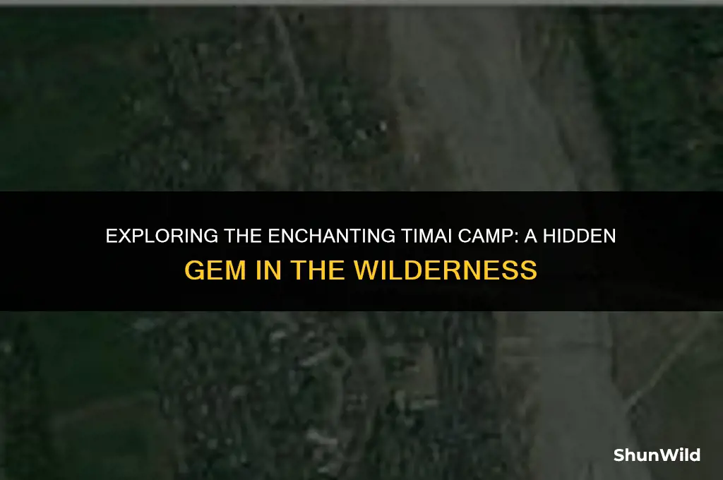 where is timai camp